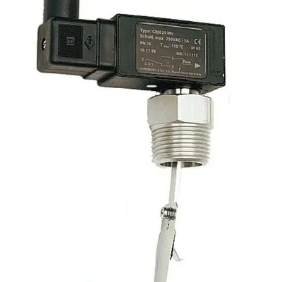 Senseca CM2K-025.HK.IP65/0282 Flow Switch - Paddle Type 4