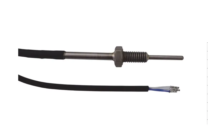 Senseca GTF102-P4-Z-MB0-30-0100-G1-L01-S Screw-ın Probe 6