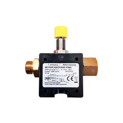 Senseca RRI-010PI/AQ072V10KPS-475883 Flow Meter 4